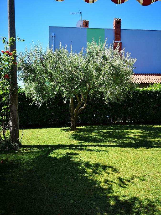 Apartman Olga أوماغ المظهر الخارجي الصورة